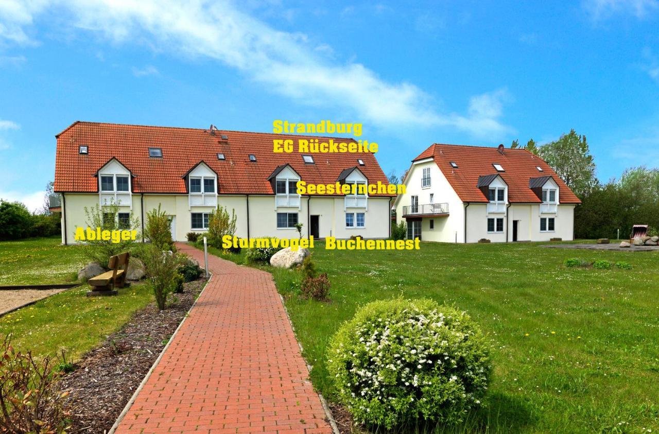 Gollwitzer Park Oase Apartman Insel Poel Kültér fotó